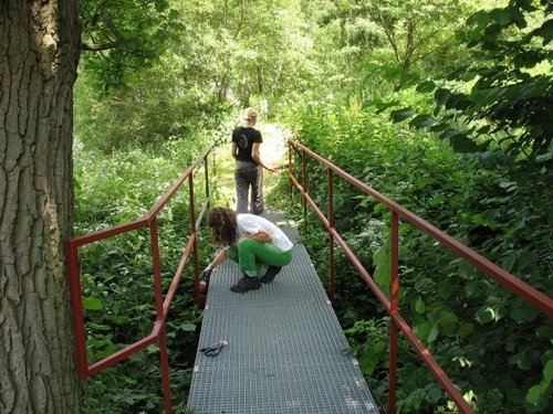 Painting a foot bridge Czech Republic