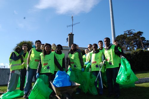 Tidy Towns work at Greystones