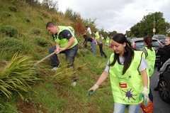 enviromental work