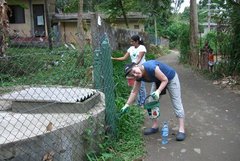 Sri Lanka Painting the fences