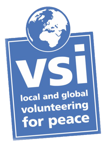 VSI logo PNG