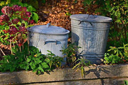 Canva - Gray Metal Dustbins