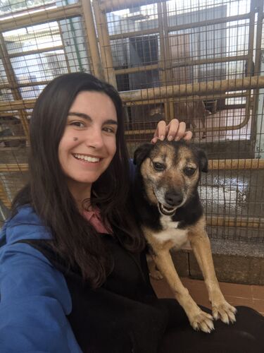 PENAGOS Marisa ESC PORTUGAL Animal Shelter Volunteer Work Dog Individual Smiling Fun