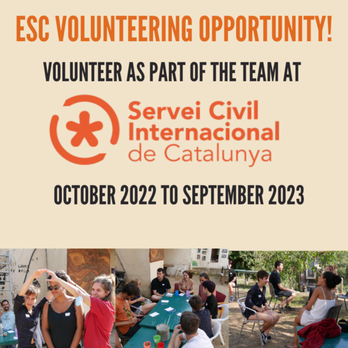 ESC volunteering opportunities!
