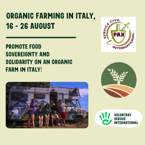 SCI Italy IVP Post
