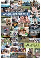 Publication cover - SCI Annual Report 2013 final
