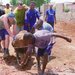 Zambia  pulling rocks