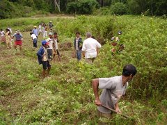 Sri Lanka project 2008